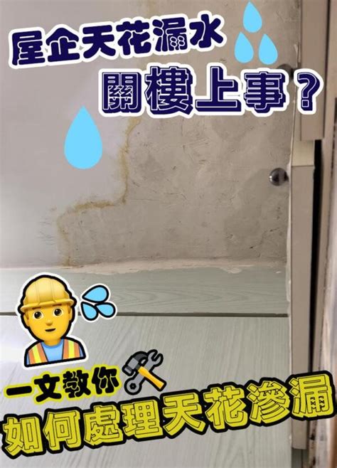 屋子漏水|如何處理漏水問題？一篇弄懂漏水檢測費用與修理方法！